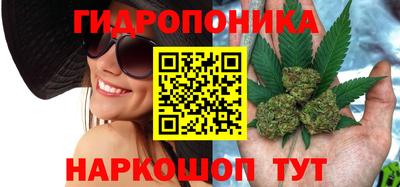 apvp Апшеронск