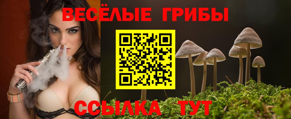 Галлюциногенные грибы Psilocybe  Вход с VPN  Бугульма 
